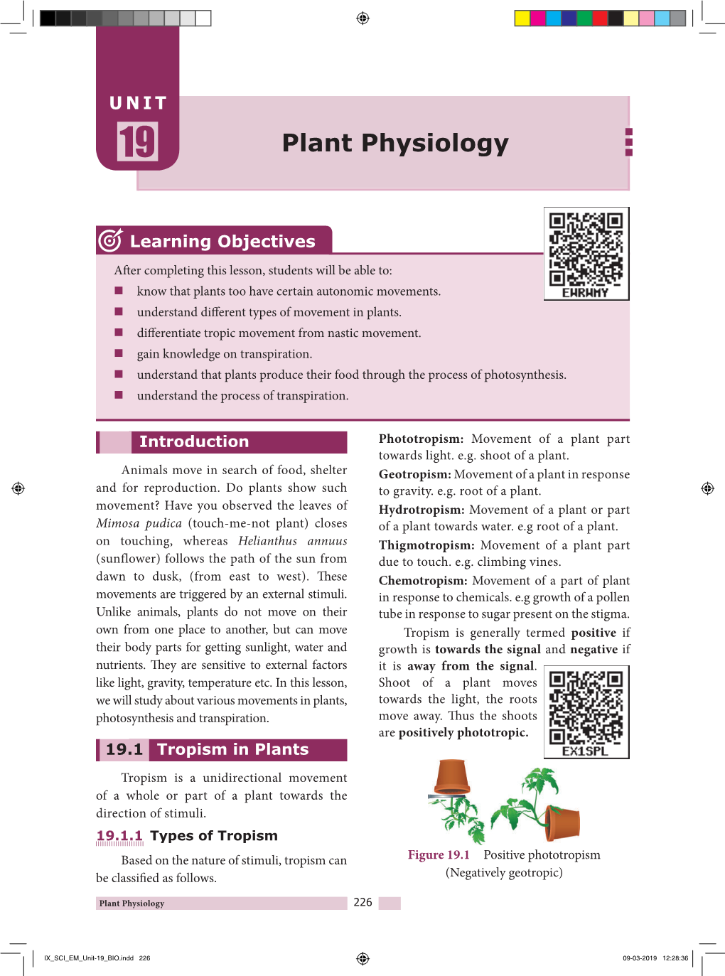 Plant Physiology