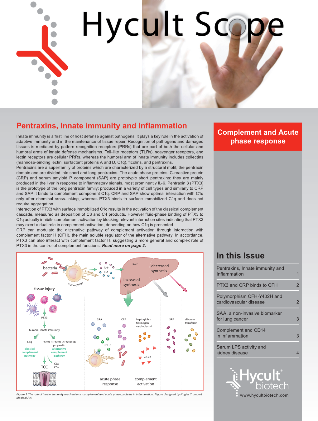 Complement and Acute Phase Proteins in Inflammation