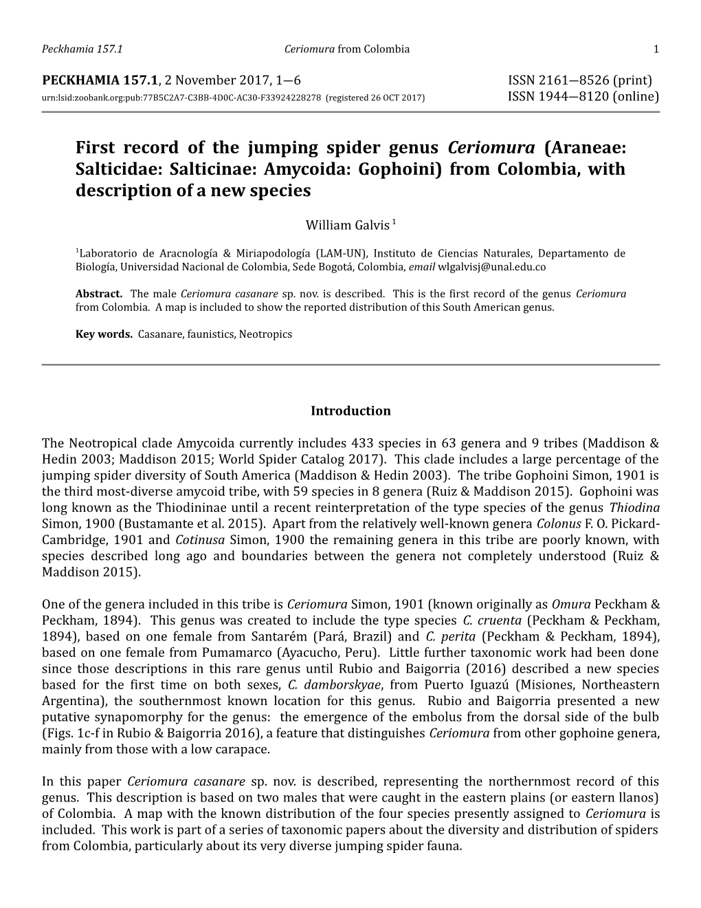 First Record of the Jumping Spider Genus Ceriomura (Araneae: Salticidae: Salticinae: Amycoida: Gophoini) from Colombia, with Description of a New Species