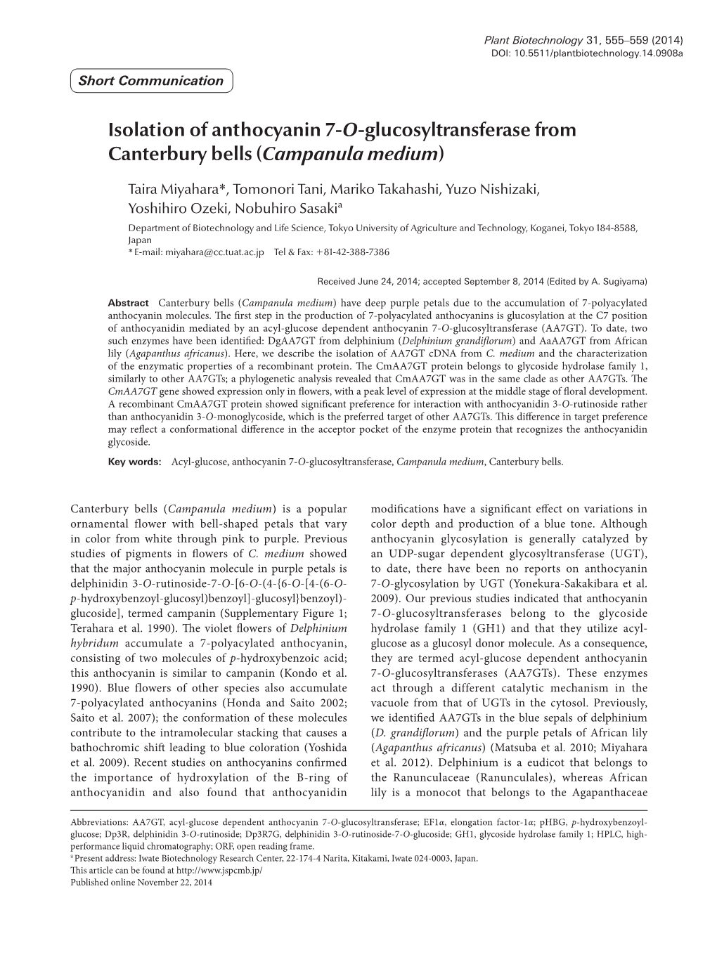 Isolation of Anthocyanin 7-O-Glucosyltransferase from Canterbury Bells (Campanula Medium)