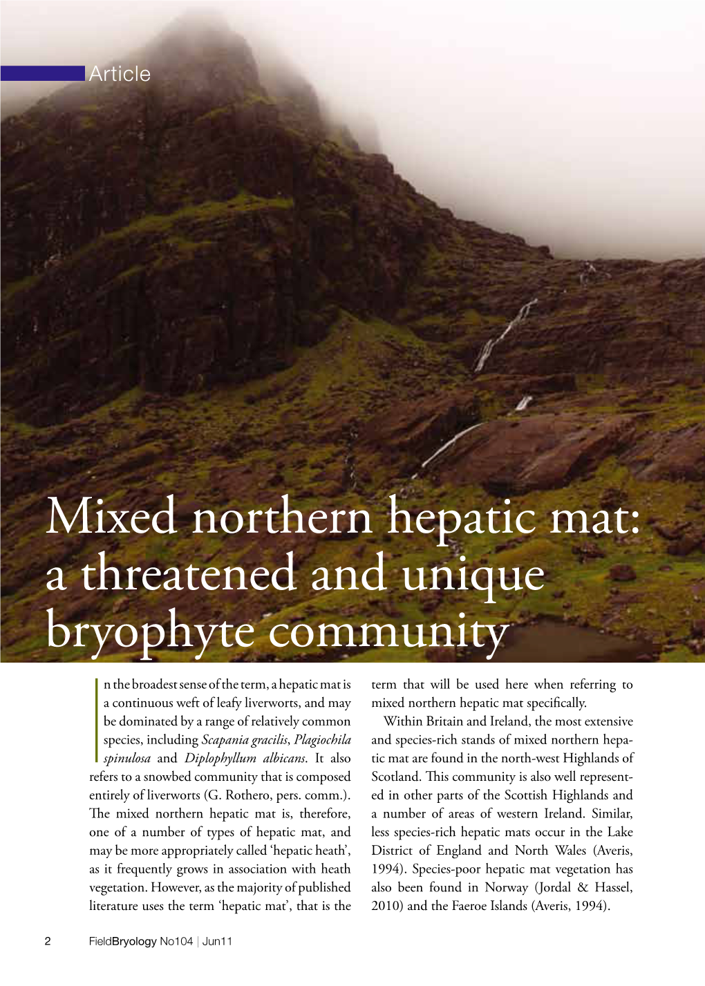 Mixed Northern Hepatic Mat, Or Hepatic Heath, Is One of the Most Beautiful and Conspicuous Bryophyte Communities Found in Britain and Ireland