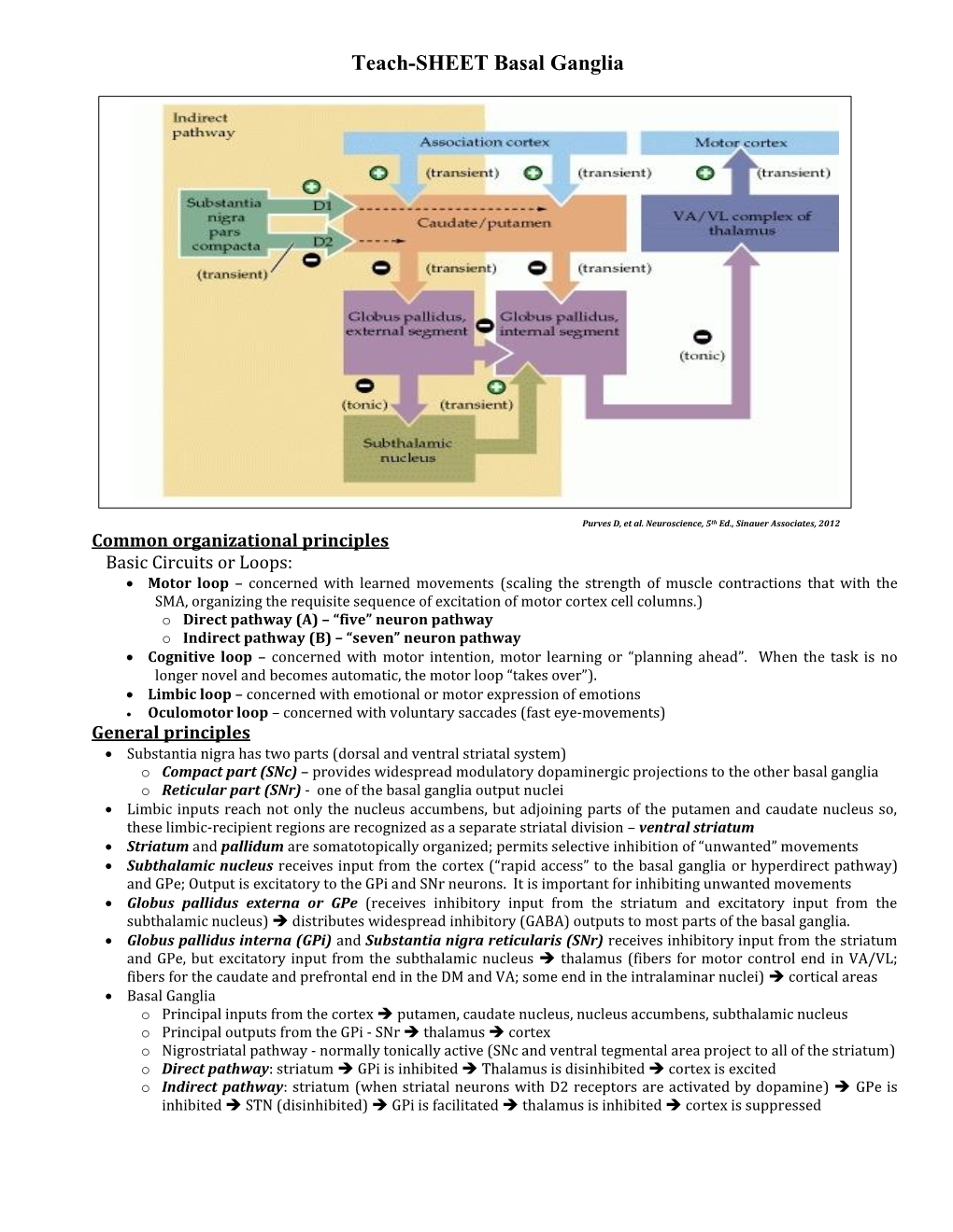 Overview of the Reticular Formation (RF)