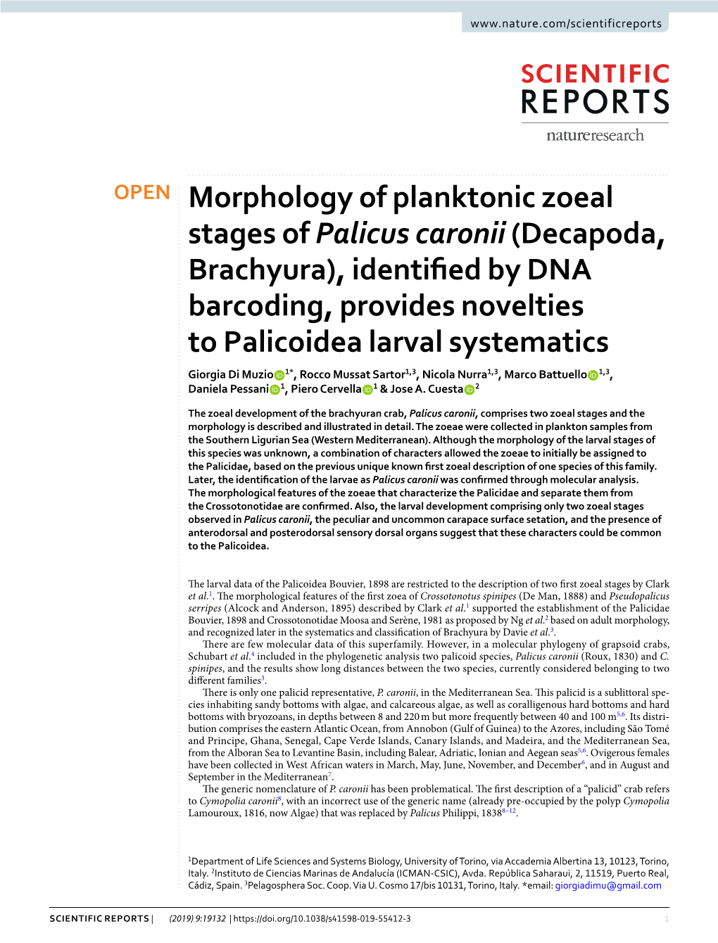Morphology of Planktonic Zoeal Stages of Palicus Caronii (Decapoda