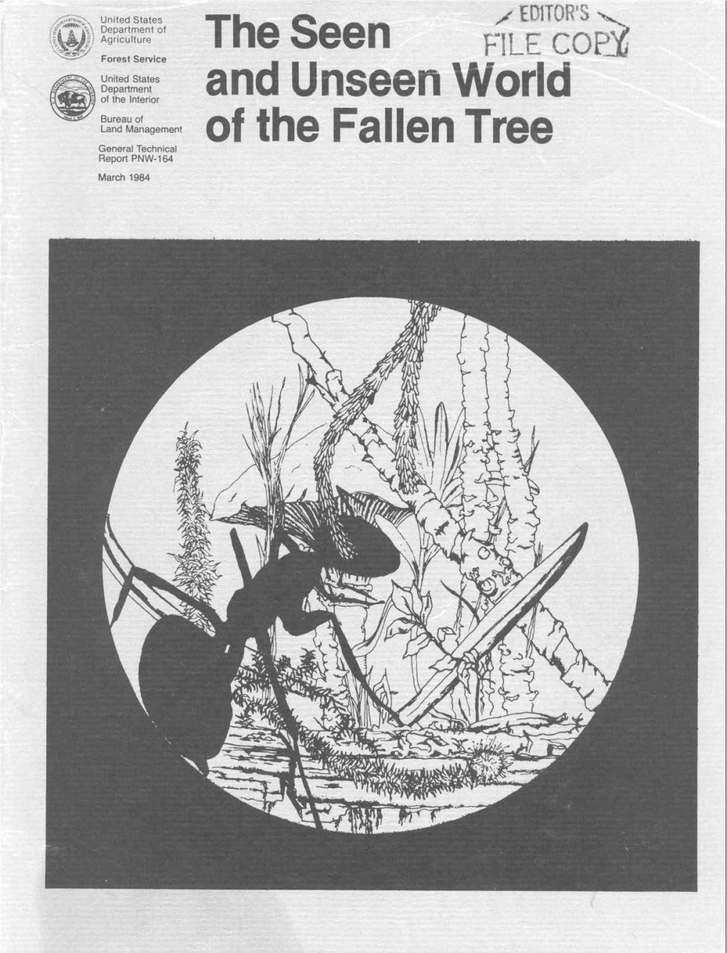The Seen and Unseen World of the Fallen Tree