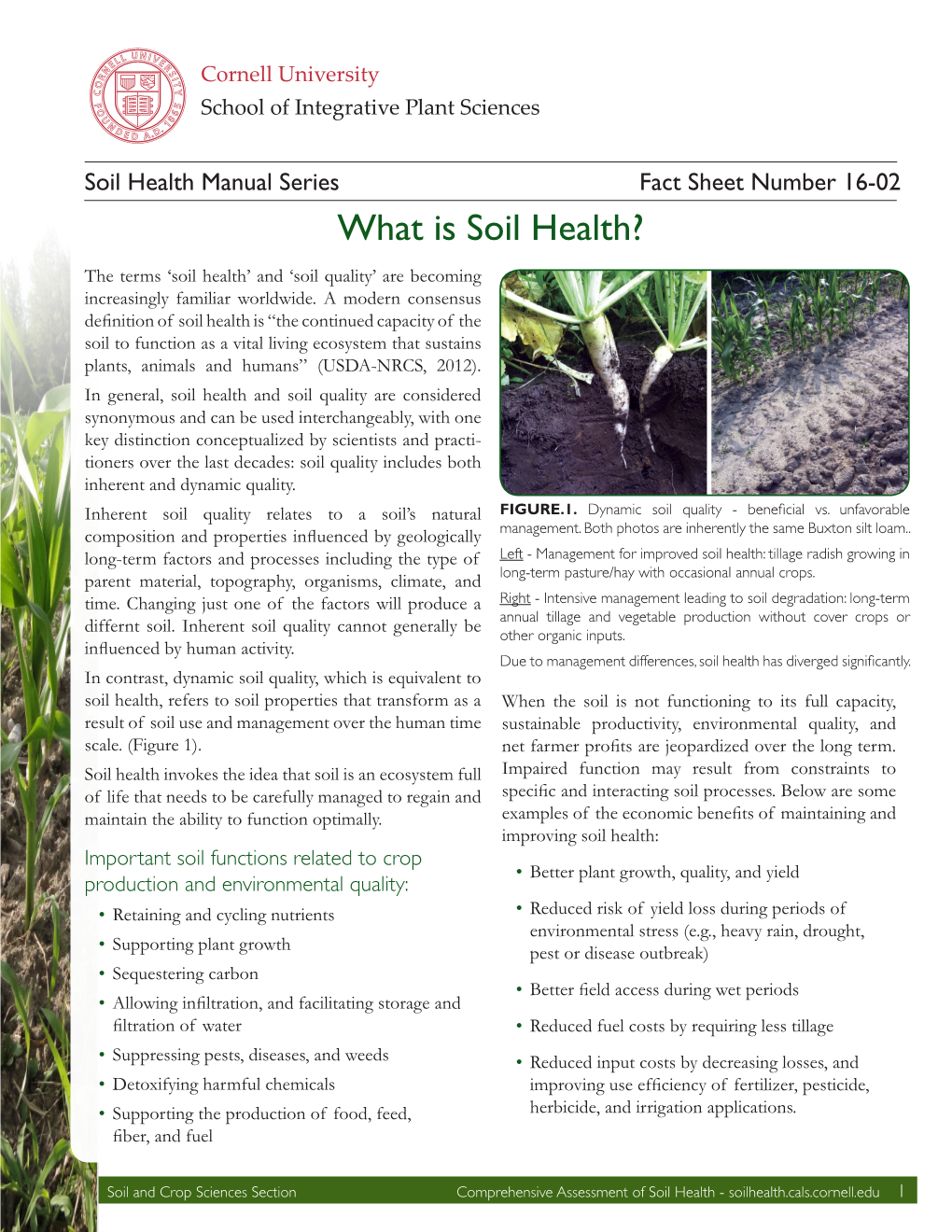 What Is Soil Health?