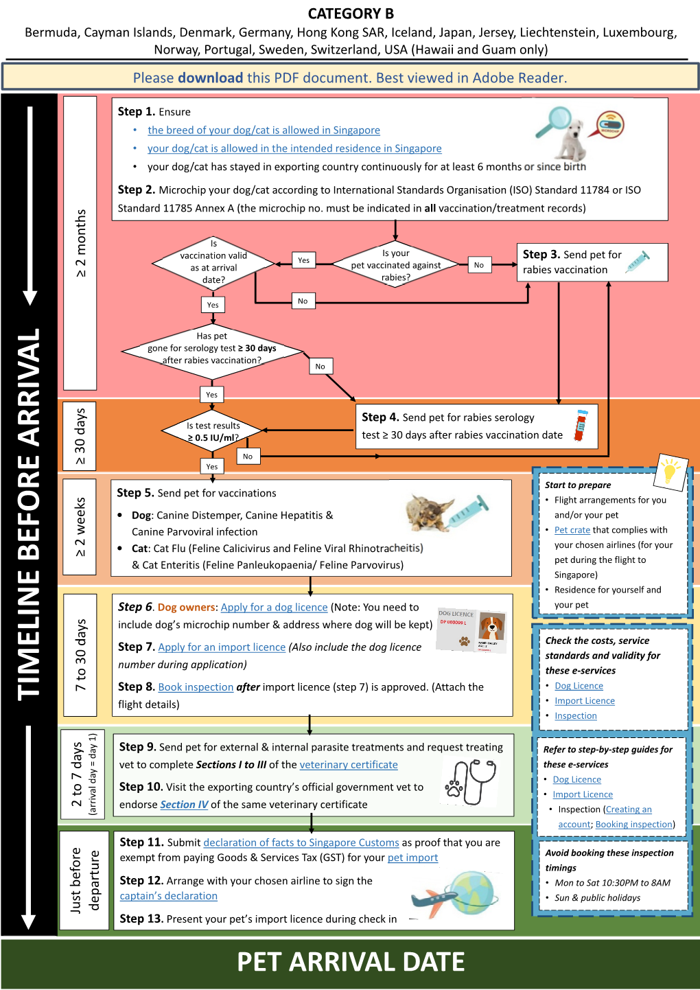 Dog and Cat Flowchart for Category B Countries