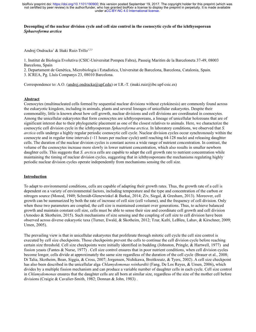 Decoupling of the Nuclear Division Cycle and Cell Size Control in the Coenocytic Cycle of the Ichthyosporean Sphaeroforma Arctica