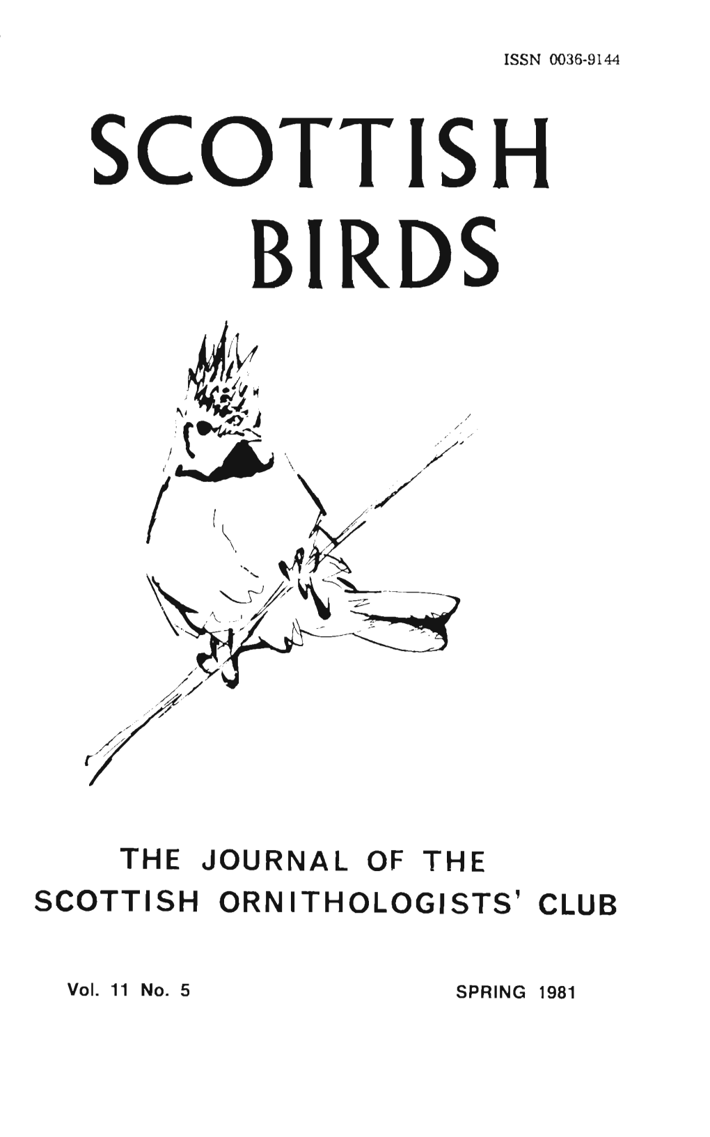 Scottish Birds