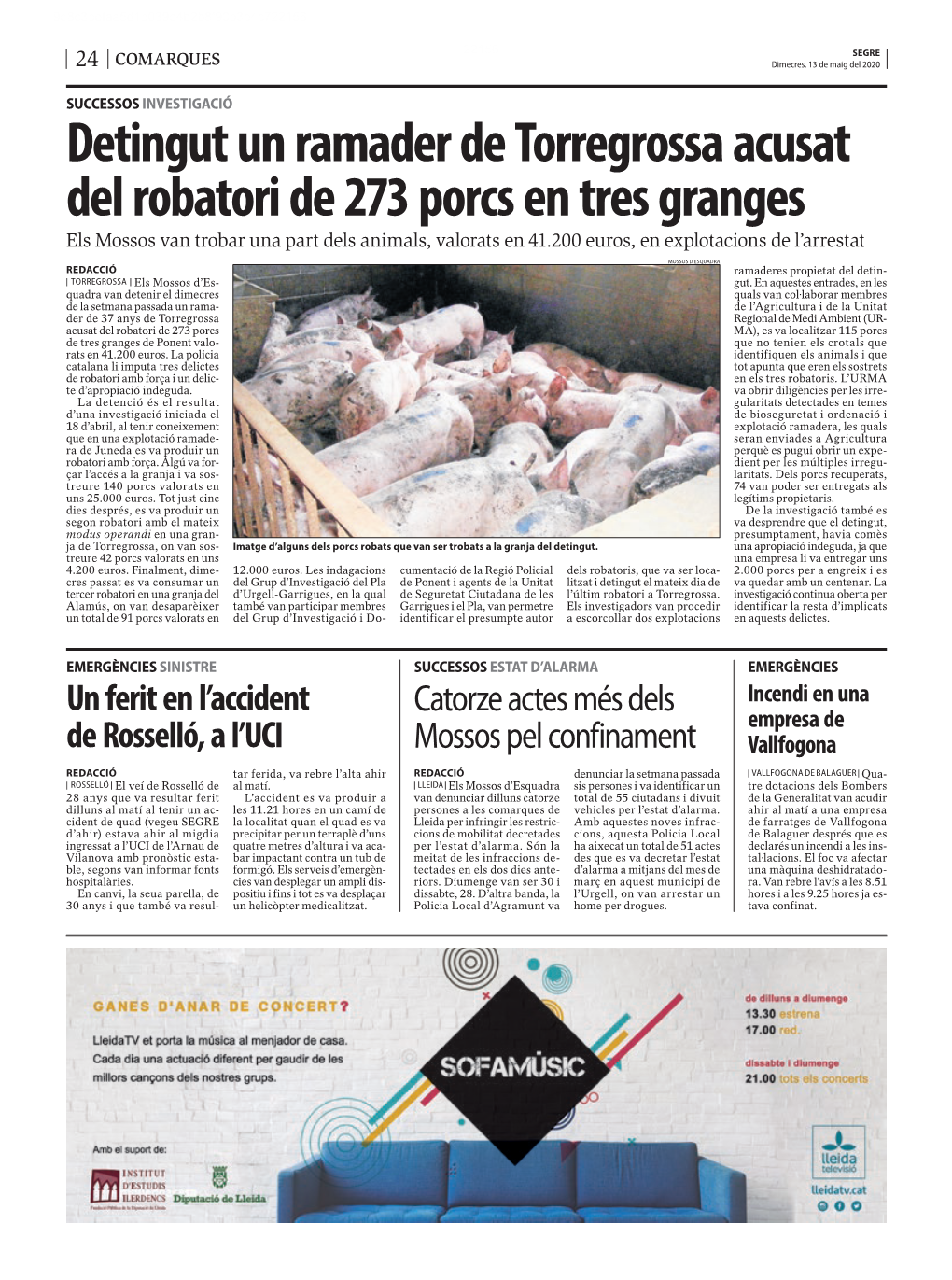 Detingut Un Ramader De Torregrossa Acusat Del Robatori De 273 Porcs En