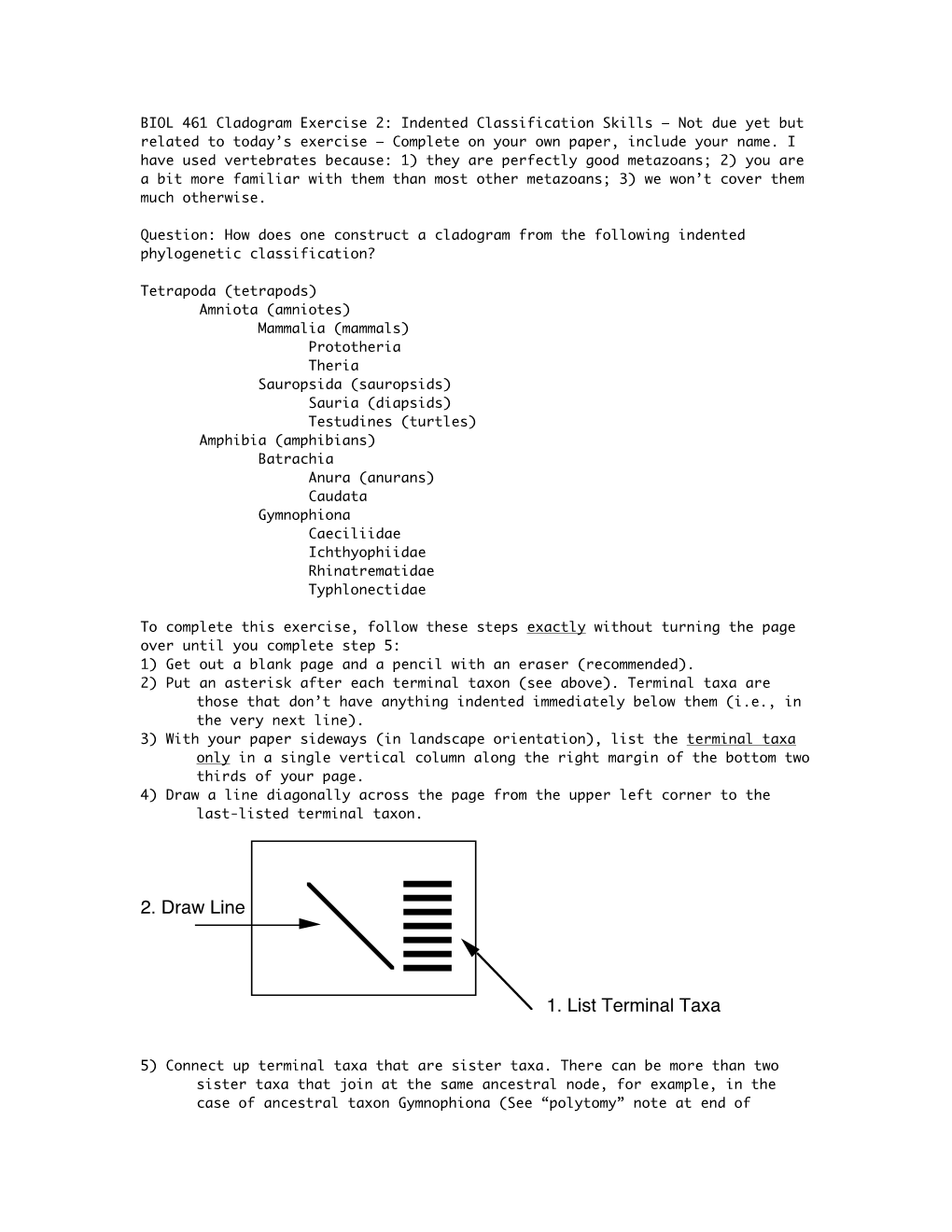 Indented Clado Exercise