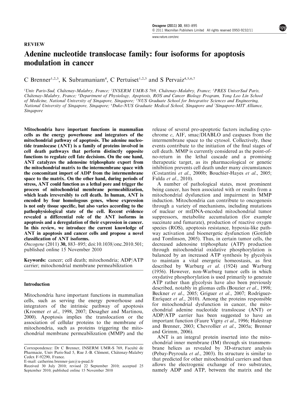 Adenine Nucleotide Translocase Family: Four Isoforms for Apoptosis Modulation in Cancer