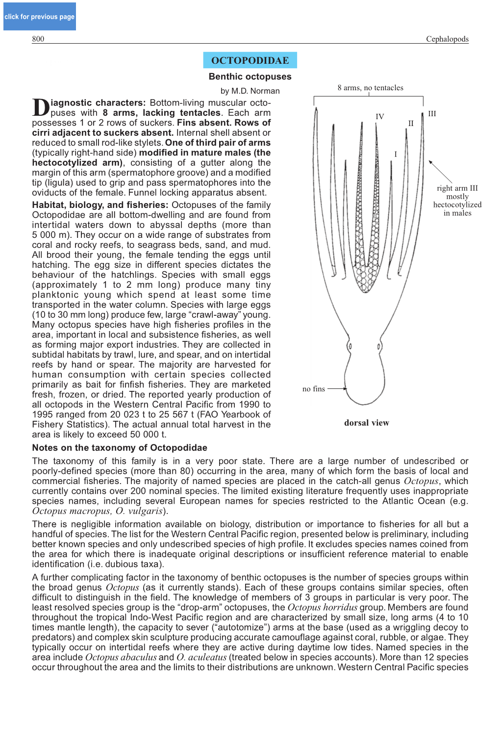 Octopodidae OCTOPODIDAE Benthic Octopuses by M.D