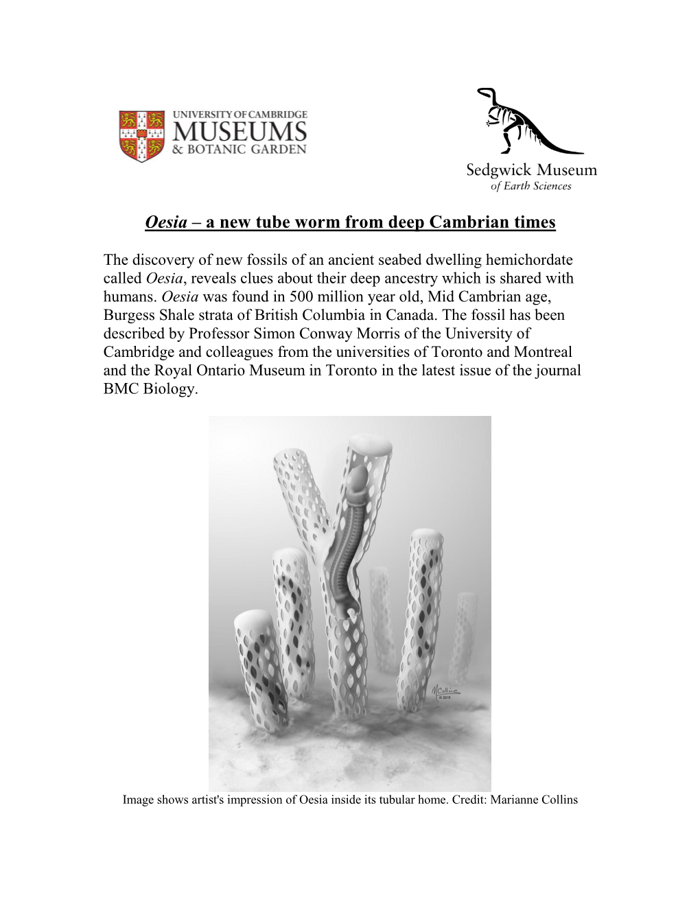 Oesia – a New Tube Worm from Deep Cambrian Times