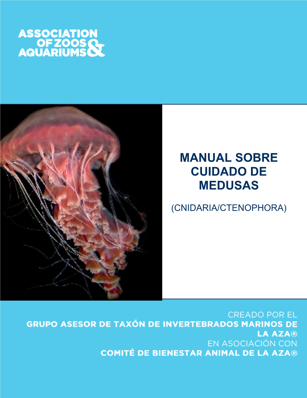 Manual Sobre Cuidado De Medusas