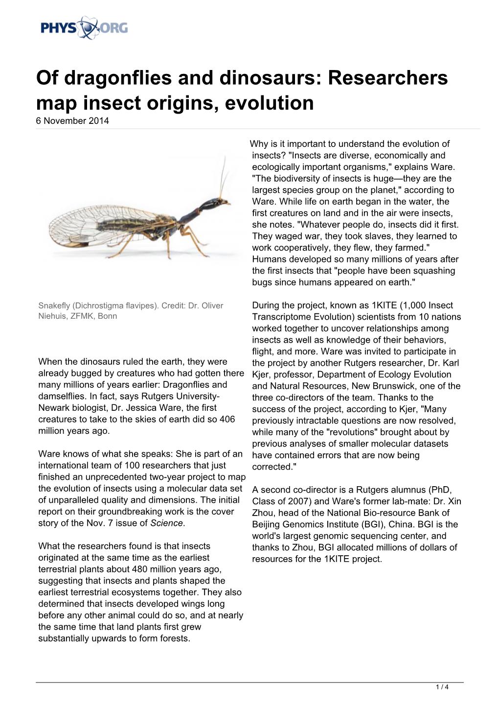 Researchers Map Insect Origins, Evolution 6 November 2014