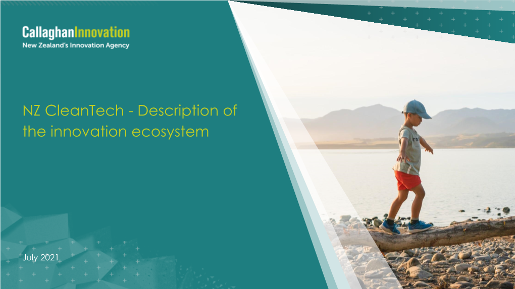 NZ Cleantech - Description of the Innovation Ecosystem