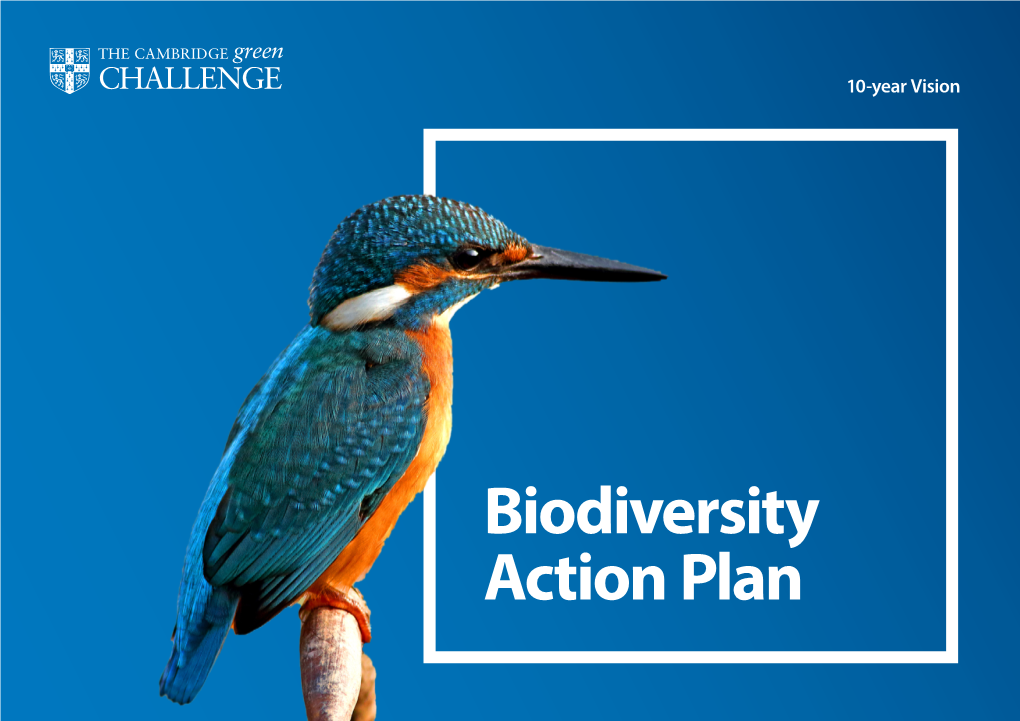 Biodiversity Action Plan (BAP)