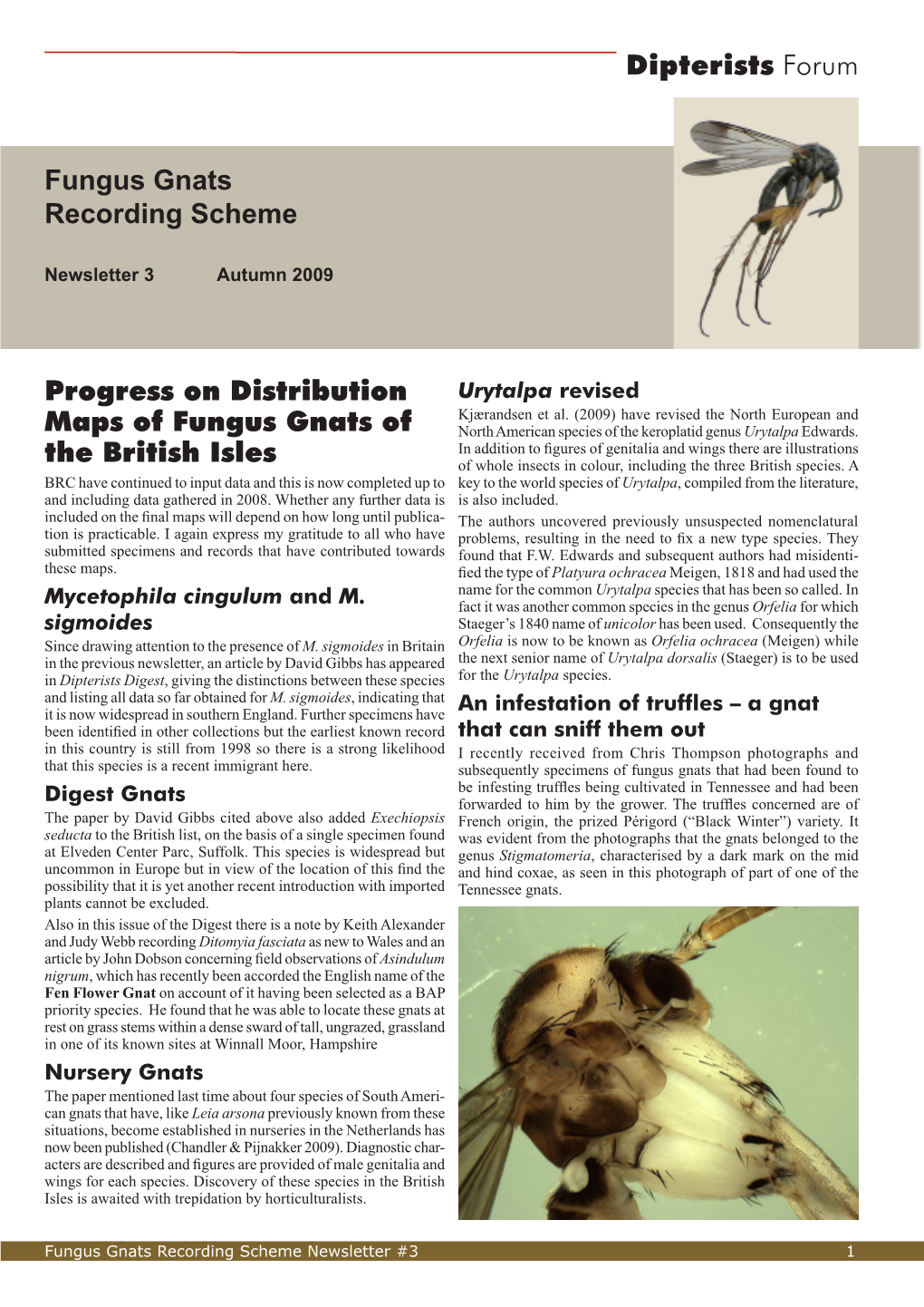 Fungus Gnats Recording Scheme Newsletter #3
