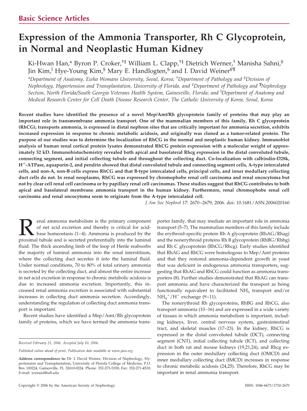 Expression of the Ammonia Transporter, Rh C Glycoprotein, in Normal and Neoplastic Human Kidney