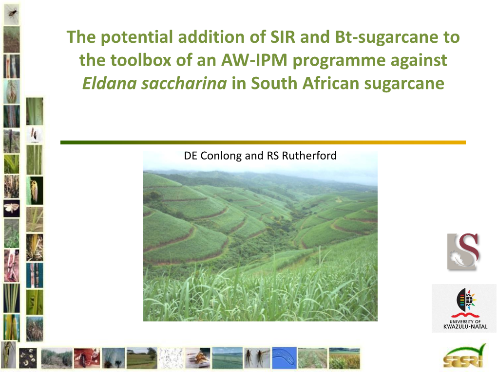 The Potential Addition of SIR and Bt-Sugarcane to the Toolbox of an AW-IPM Programme Against Eldana Saccharina in South African Sugarcane