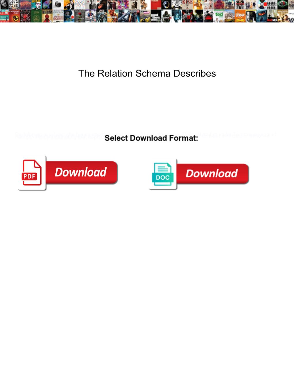 The Relation Schema Describes