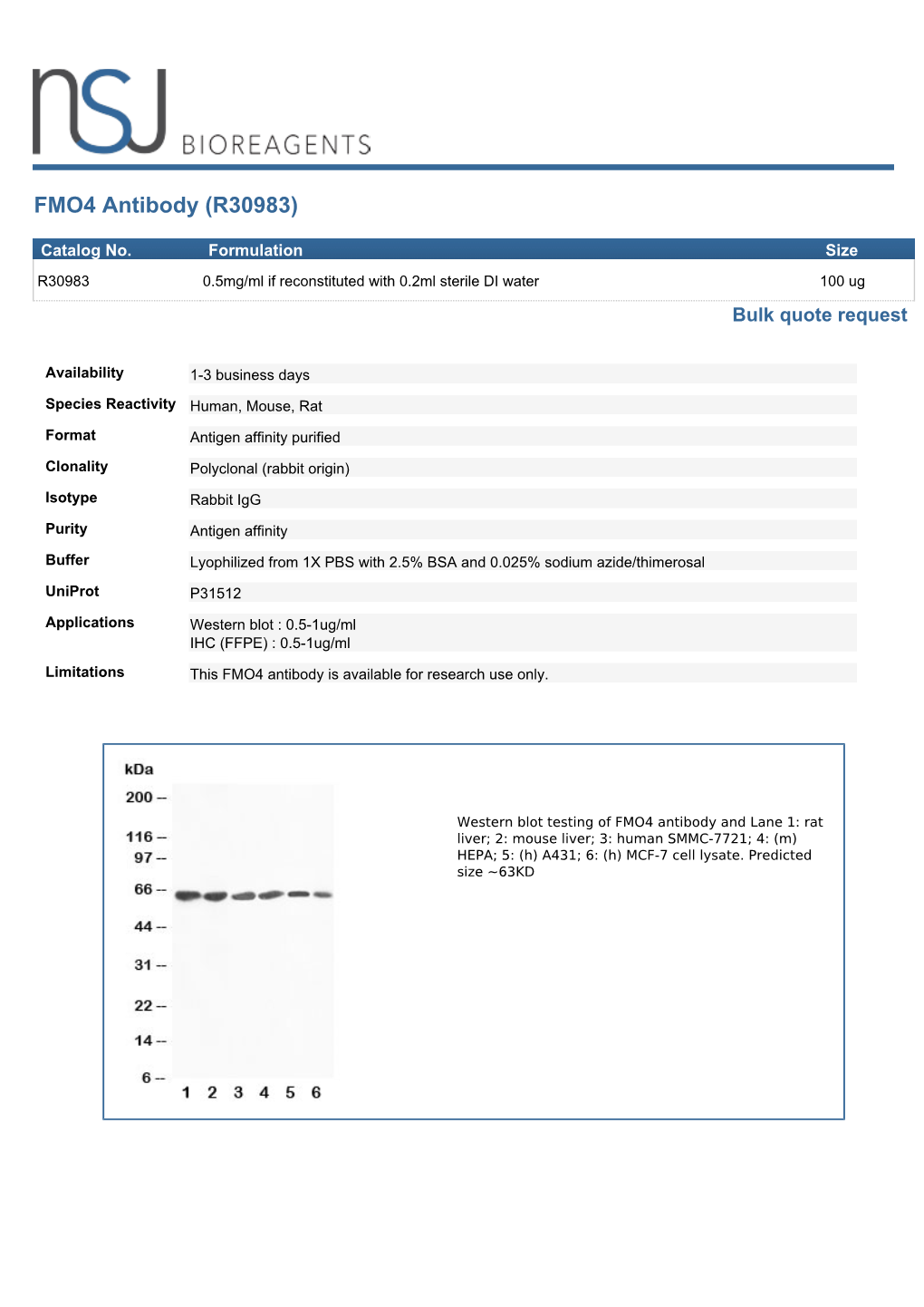 FMO4 Antibody (R30983)