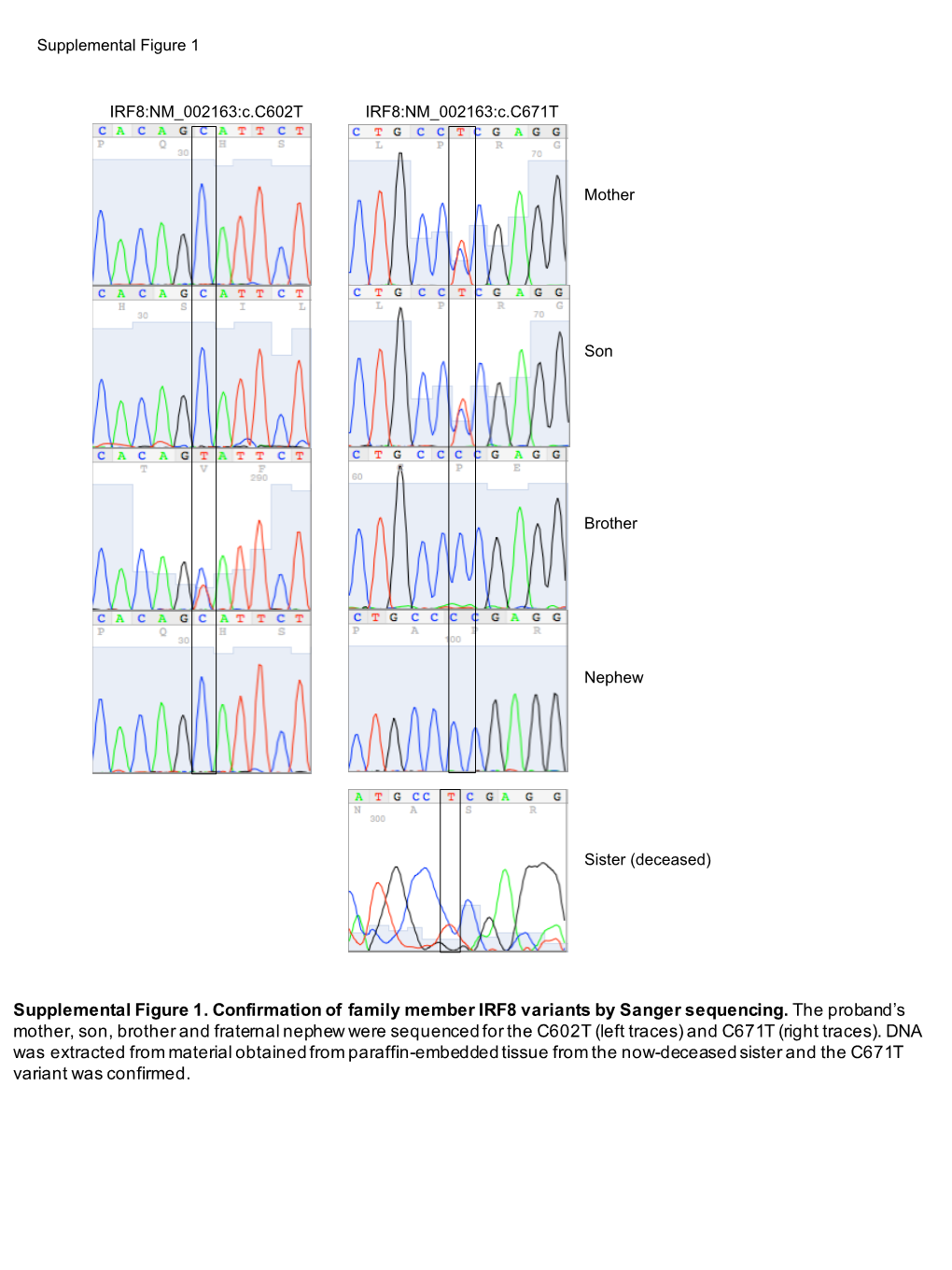 Supplemental Figure 1. Confirmation of Family Member IRF8 Variants by Sanger Sequencing