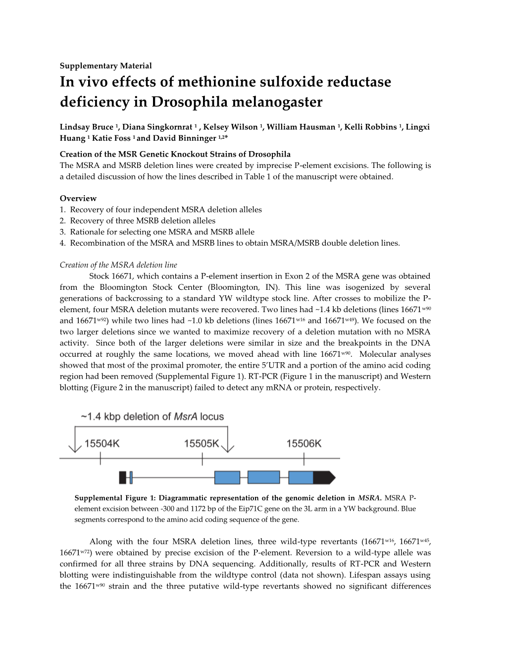 In Vivo Effects of Methionine Sulfoxide Reductase Deficiency in Drosophila Melanogaster