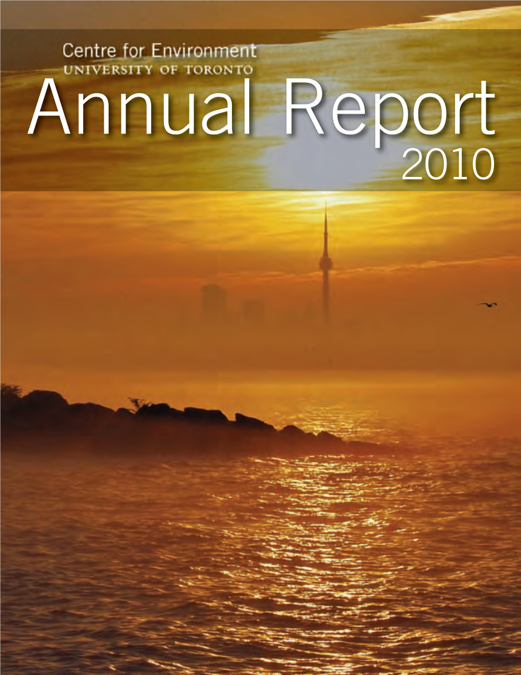 2010 CFE Annual Report
