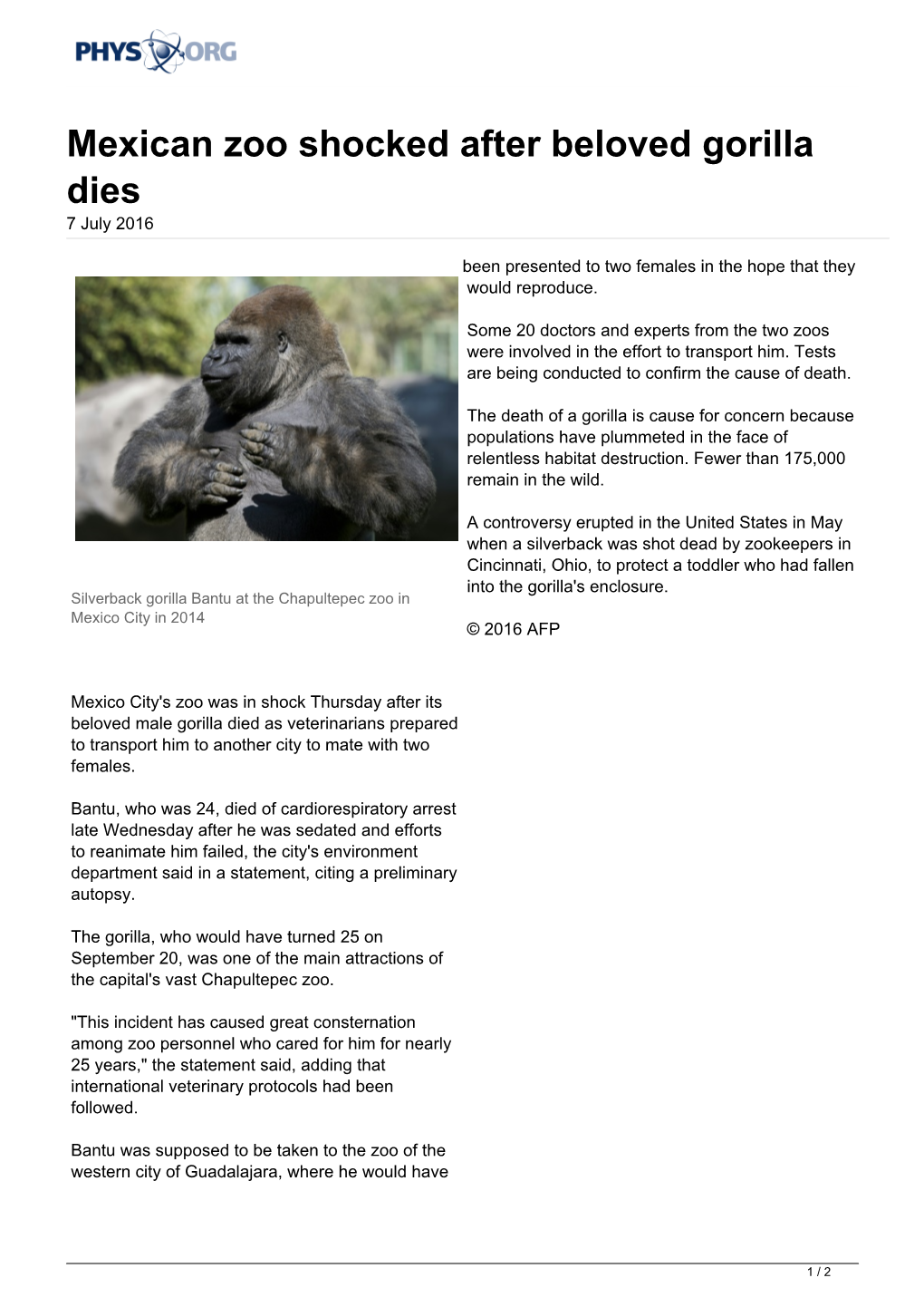Mexican Zoo Shocked After Beloved Gorilla Dies 7 July 2016