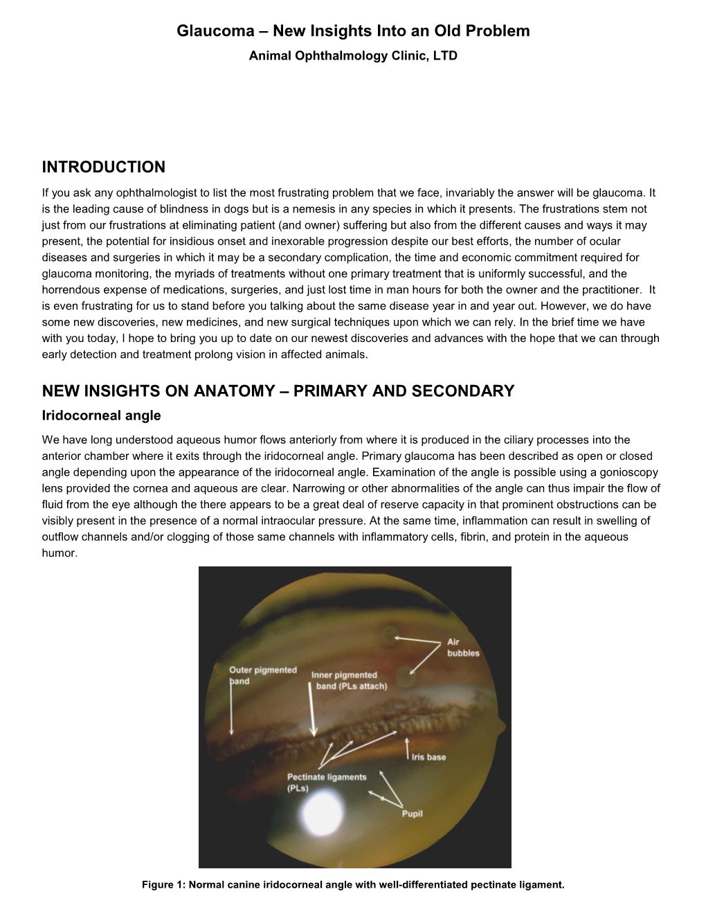 Glaucoma Handout