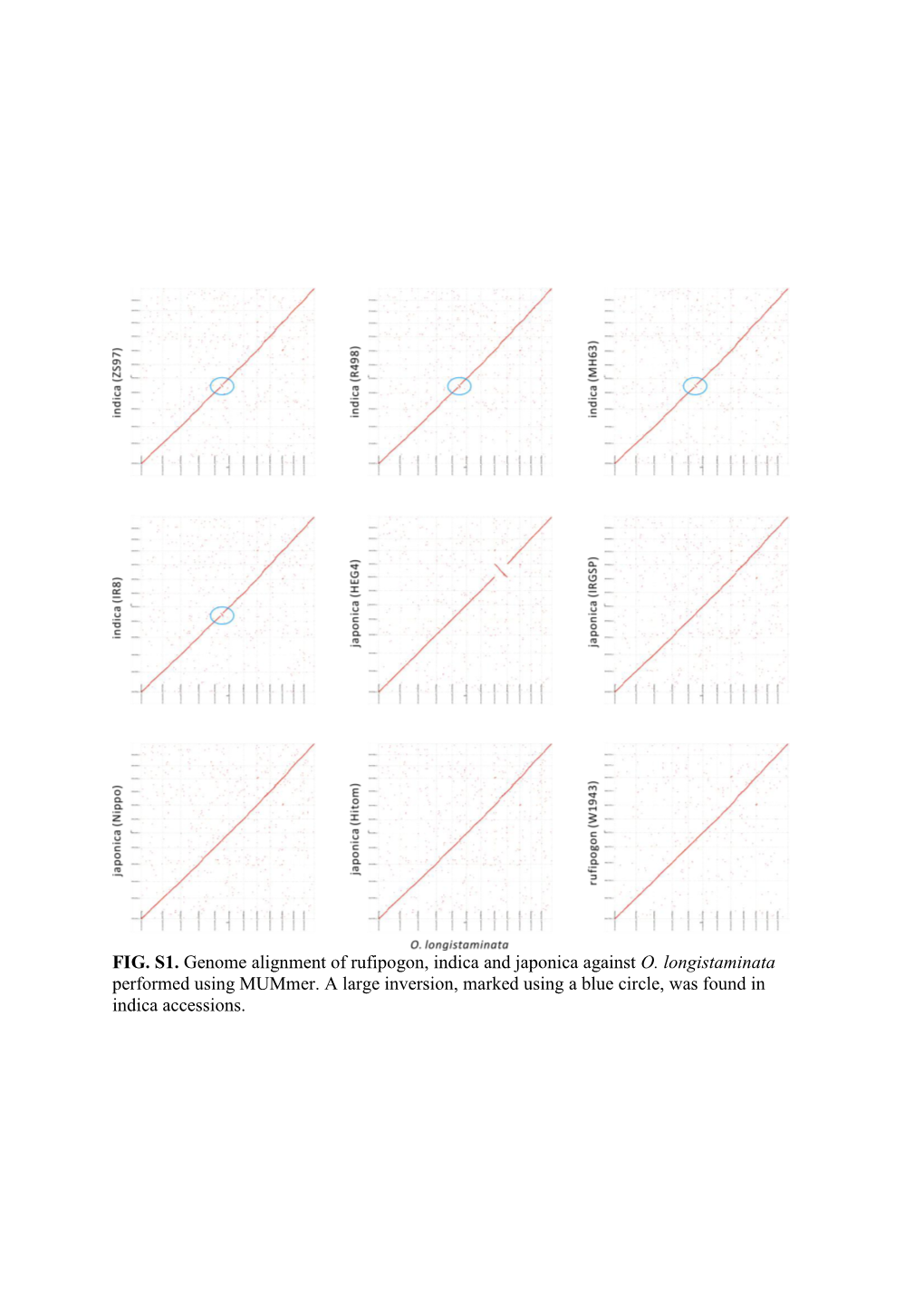 Supplementary Figure S12, Supplementary Material Online