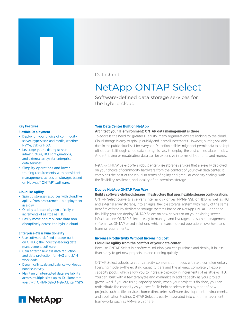 Netapp ONTAP Select Software-Defined Data Storage Services for the Hybrid Cloud