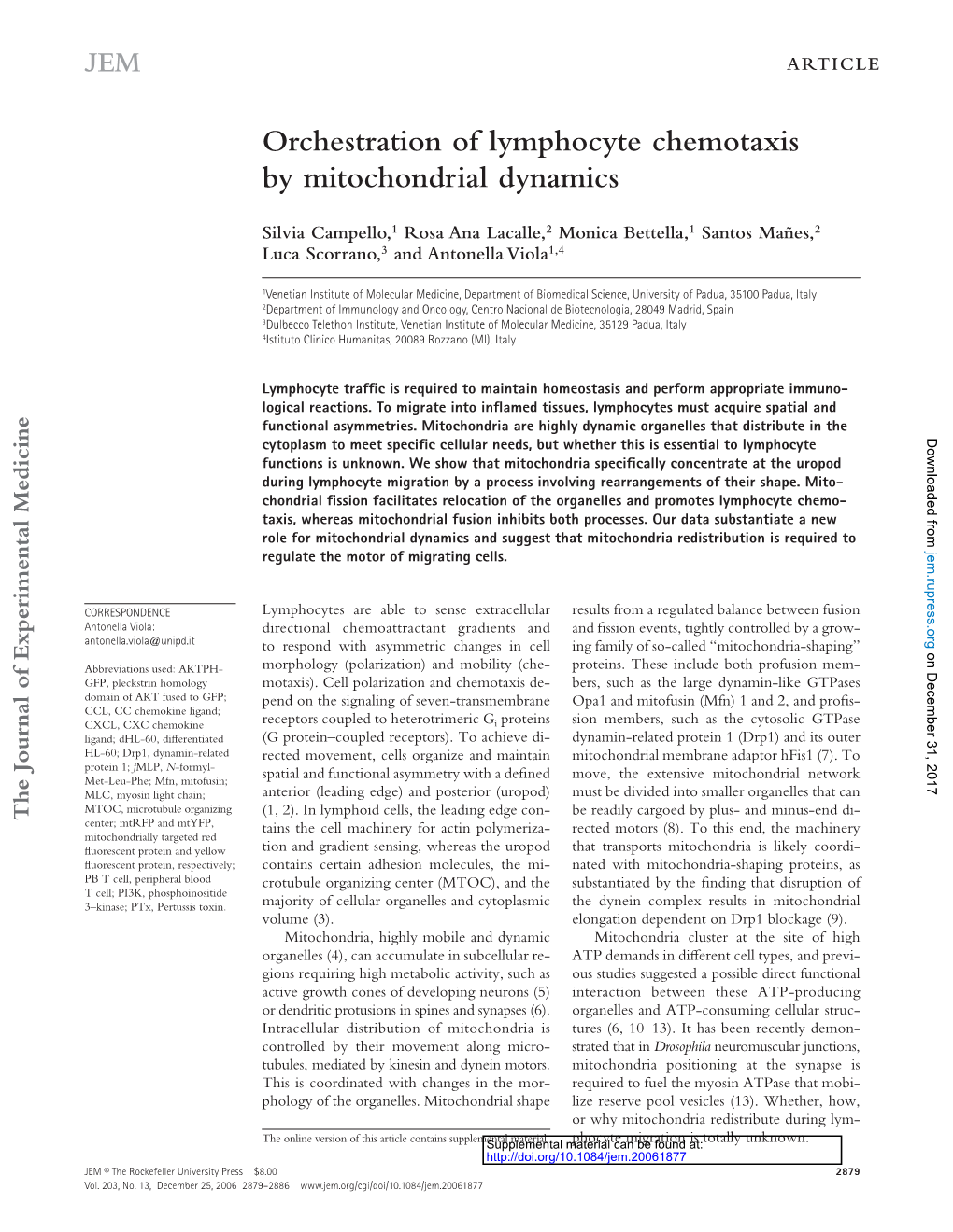 Orchestration of Lymphocyte Chemotaxis By