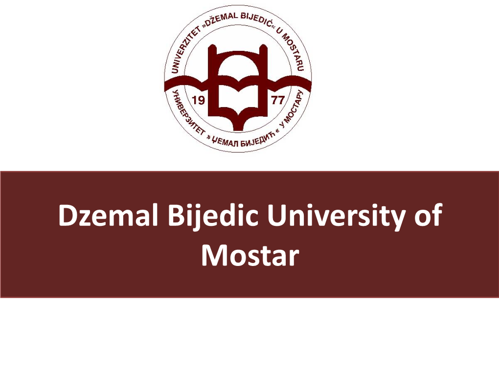Dzemal Bijedic University of Mostar