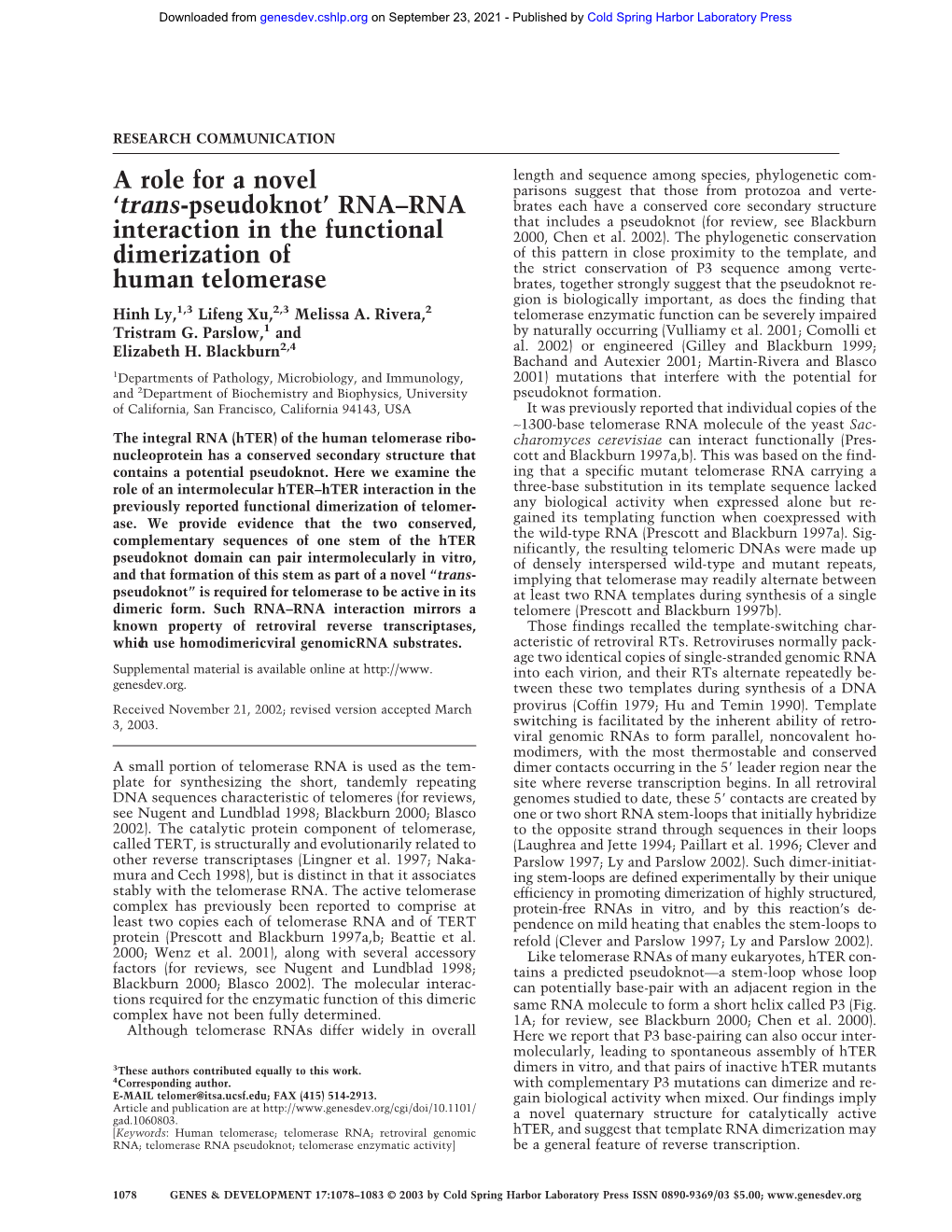 RNA–RNA Interaction in the Functional Dimerization of Human Telomerase