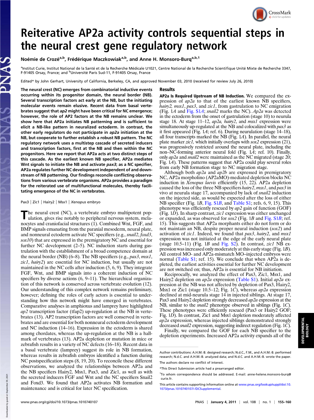 Reiterative Ap2a Activity Controls Sequential Steps in the Neural Crest Gene Regulatory Network