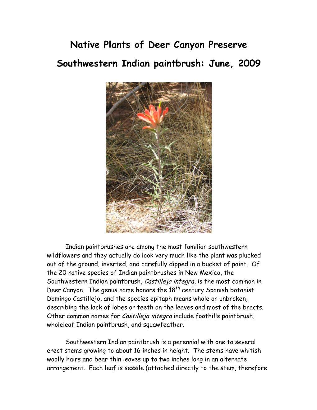 Native Plants of Deer Canyon Preserve