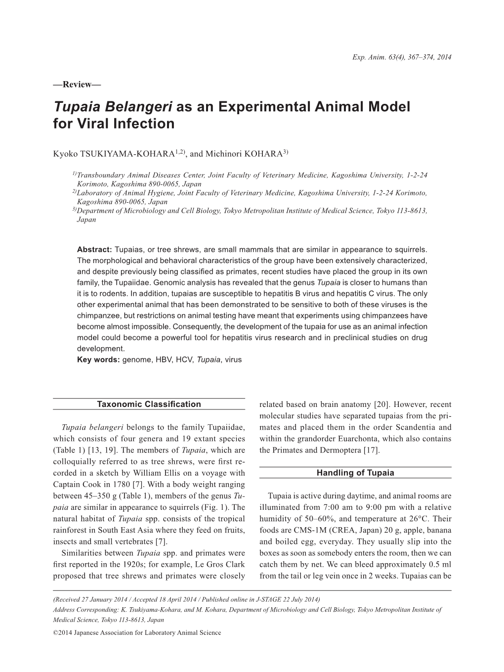 Tupaia Belangeri As an Experimental Animal Model for Viral Infection
