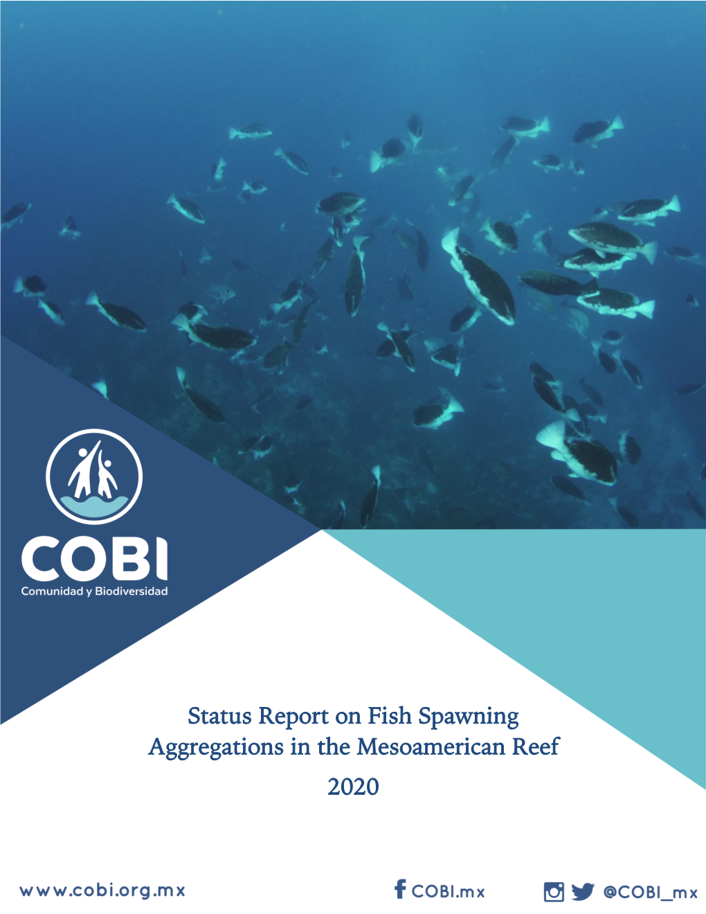 Status Report on Fish Spawning Aggregations in the Mesoamerican Reef 2020