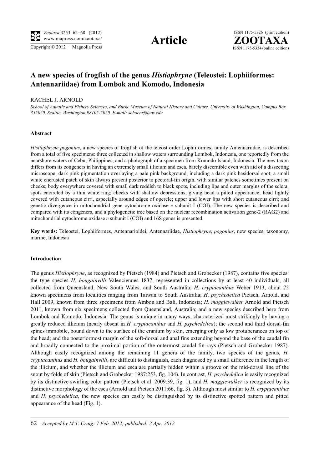 A New Species of Frogfish of the Genus Histiophryne (Teleostei: Lophiiformes: Antennariidae) from Lombok and Komodo, Indonesia