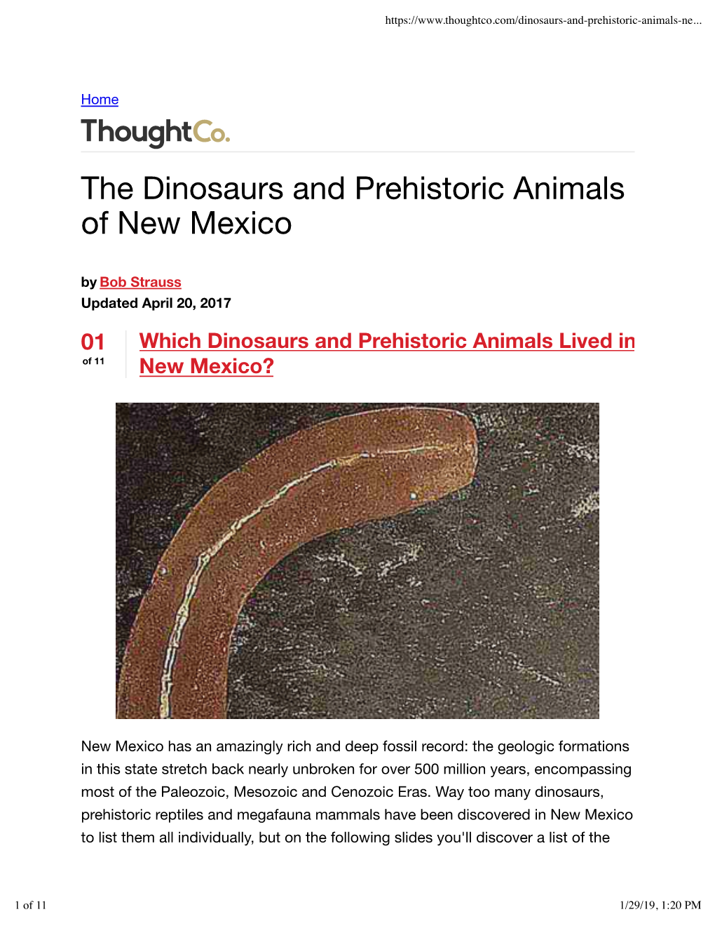 The Dinosaurs and Prehistoric Animals of New Mexico