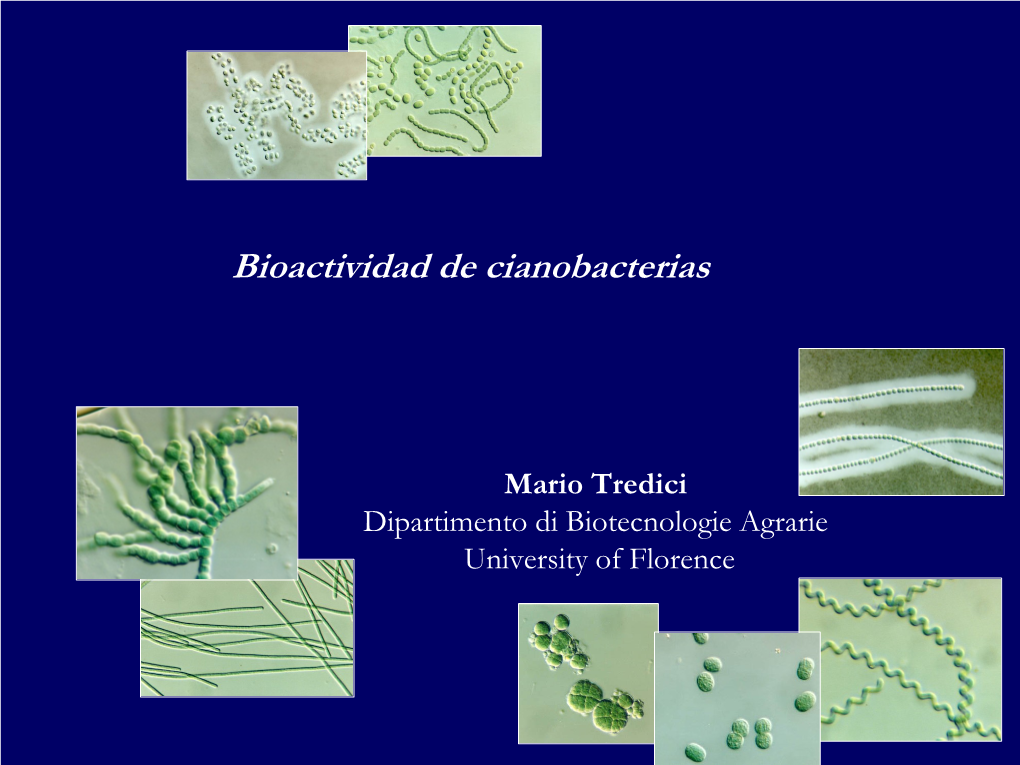 Bioactive Cyanobacterial Biomass