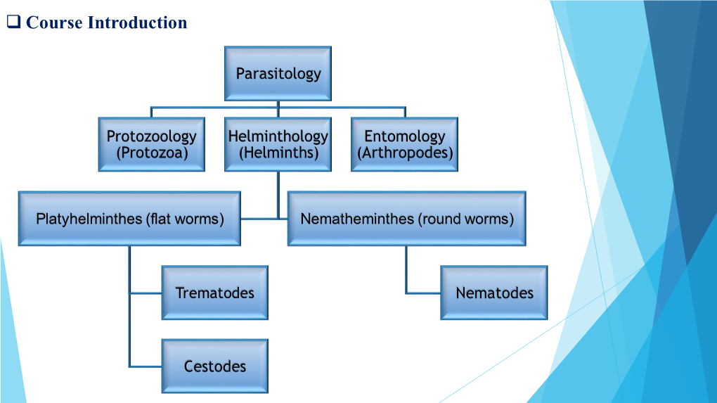 Intestinal Nematodes Trichuris Trichiura