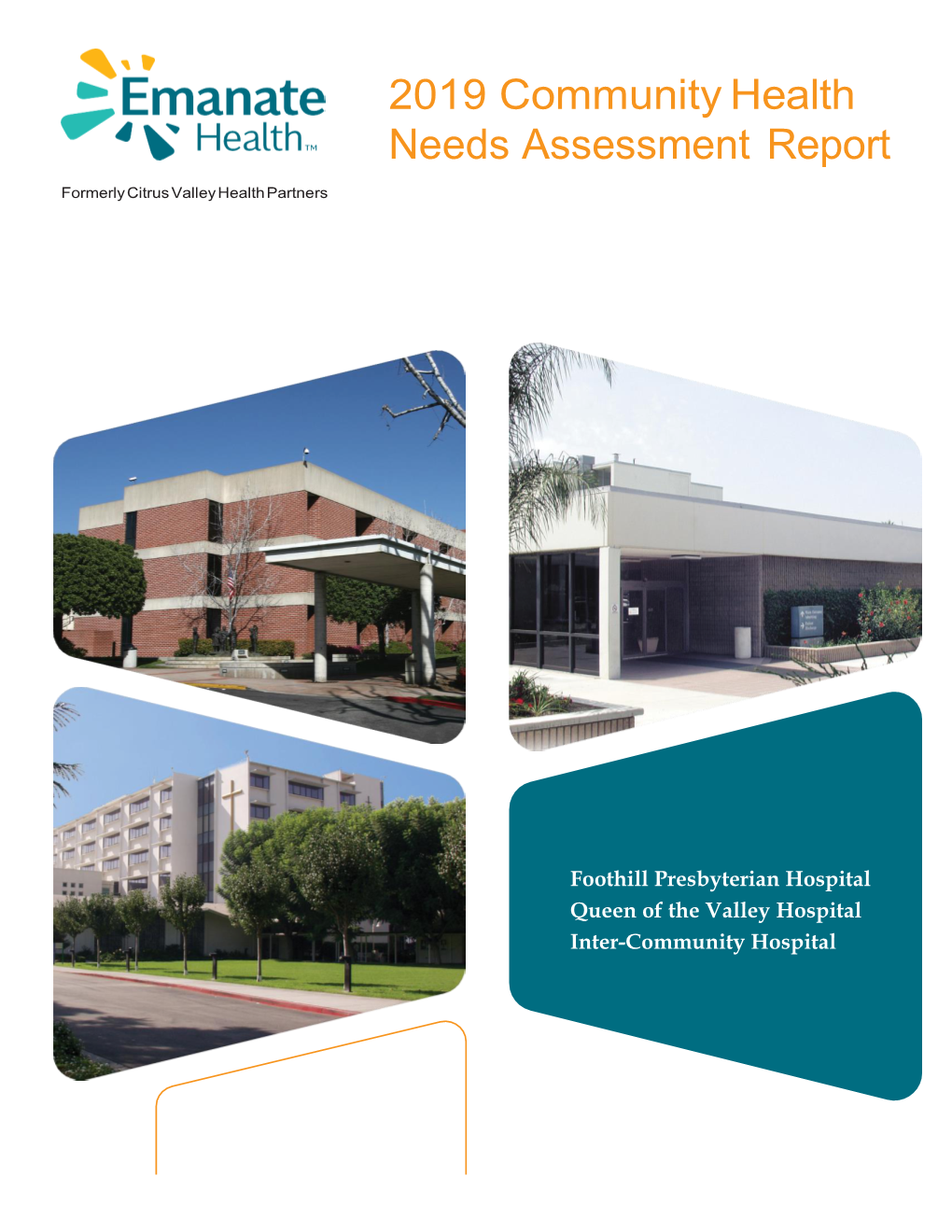 2019 Community Health Needs Assessment Report