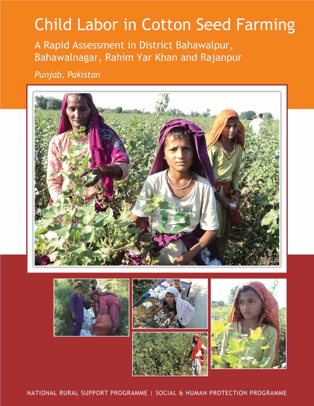 Child Labor in Cotton Seed Farming, Punjab, Pakistan.Cdr