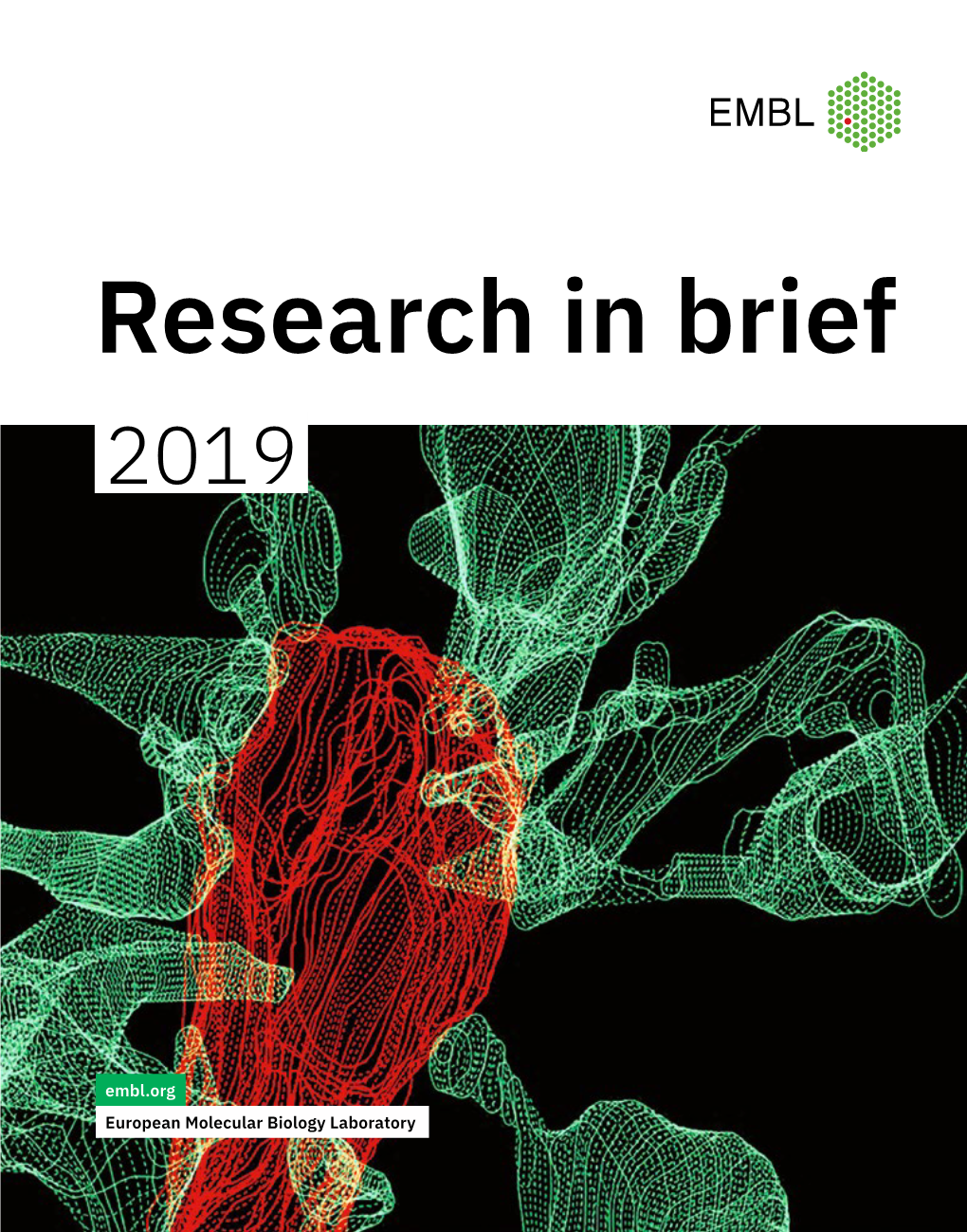 Research in Brief 2019