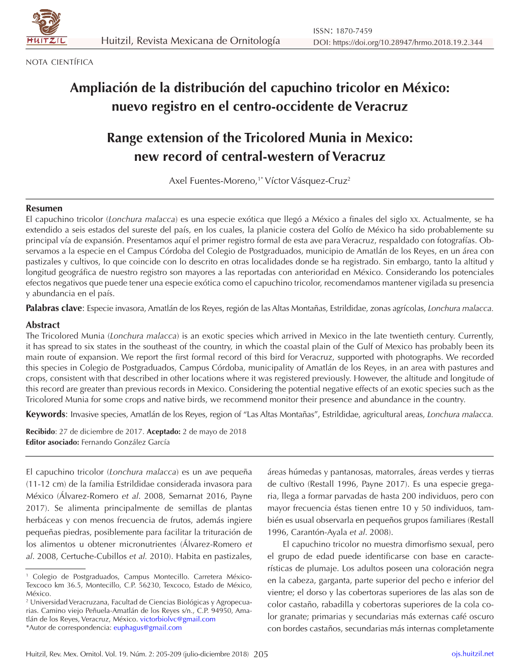 Ampliación De La Distribución Del Capuchino Tricolor En México: Nuevo Registro En El Centro-Occidente De Veracruz