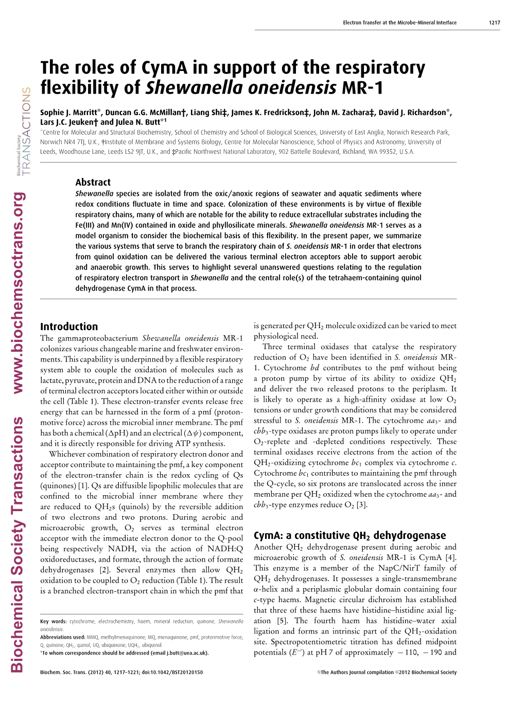 The Roles of Cyma in Support of the Respiratory Flexibility of Shewanella