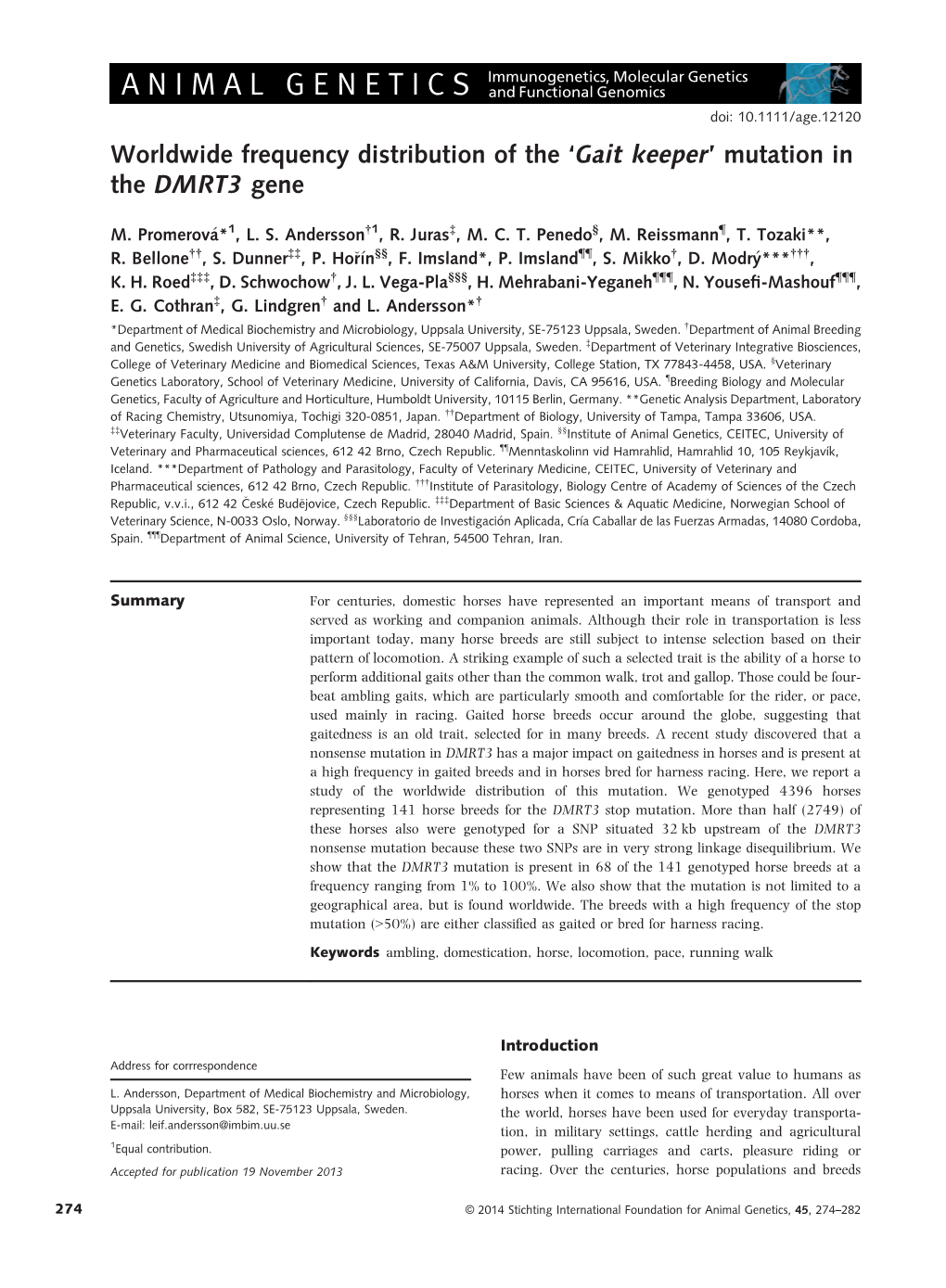 'Gait Keeper' Mutation in the DMRT3 Gene